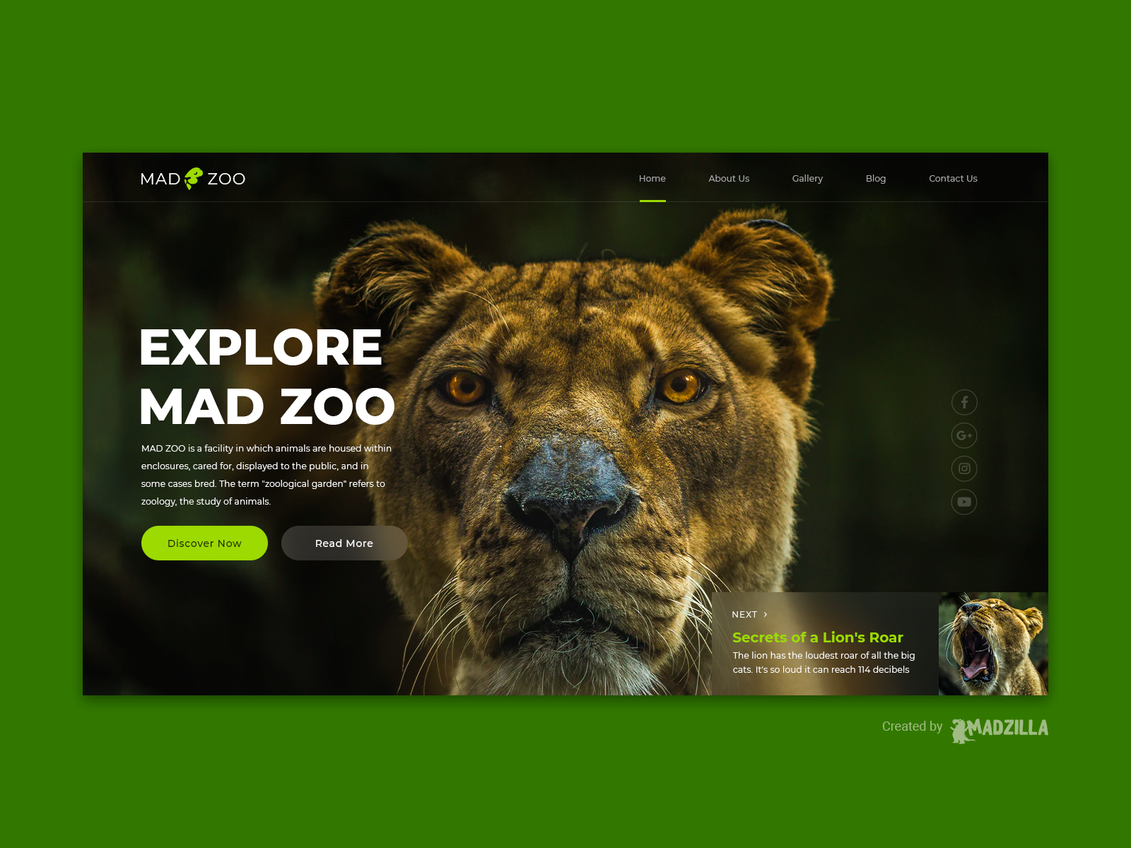 Zoo Design Inspiration by MadZilla Designs on Dribbble