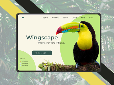 Worldscape animation bird branding design illustrator india landing page photoshop ui ux vector