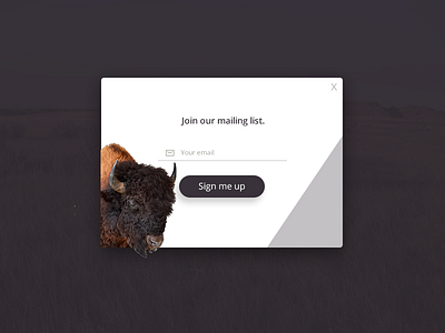 Pop-up 015 challenge chief dailyui modal popup