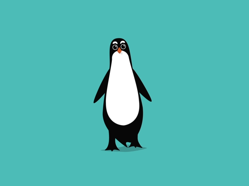 Penguin after effects ai animation bird cute friendly gif motion graphics penguin vector