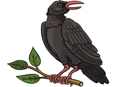 Crow bird black crow illustration nature vector