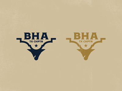 BHA Design Concept alamo backcountry badge branding deer design fish fishing hunting illustration logo texas texture typography