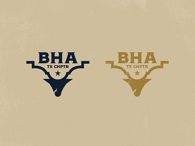 BHA Design Concept