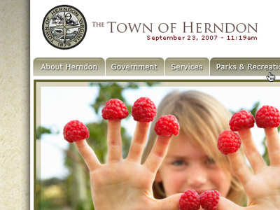 Town of Herndon, VA design ui