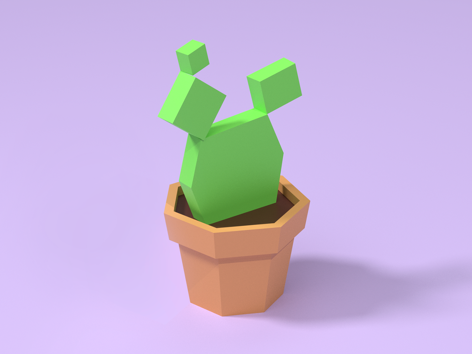download android cactus for free