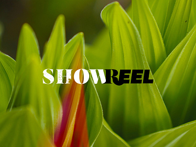 Showreel Thumbnail showreel videography