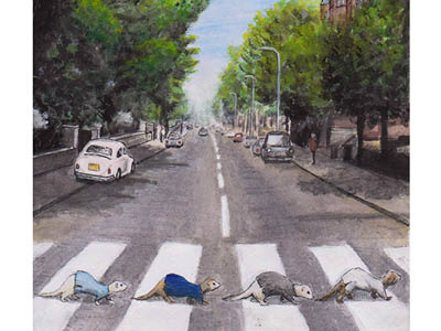 Abbey Road Ferrets abbey animal beatles ferret pet road the watercolor
