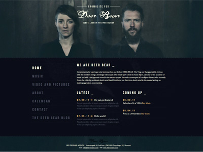 Deer Bear website design identity media web