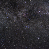 anastarrts