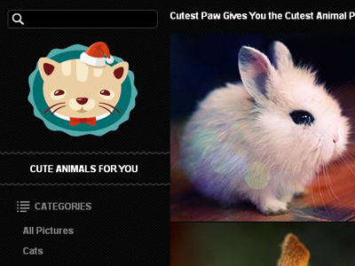 Cute Animals For You css design html javascript jquery