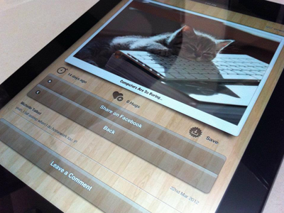 Cutest Paw iPad Single Page app design ios ipad iphone mobile ui user interface