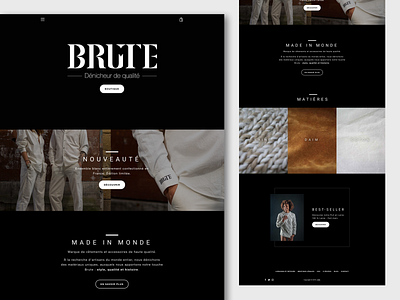 BRUTE design stephane voisin ui ux web design