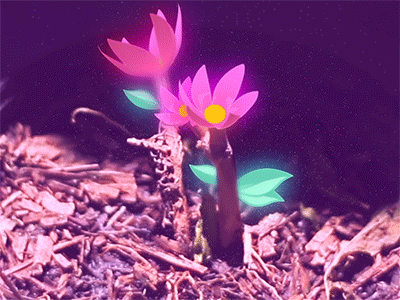 Flower!! after effects animation 2d animation 3d autodesk maya joysticks motion rig rubberhose sliders