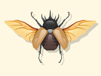 Eupatorus gracilicornis beetle illustration insect vector