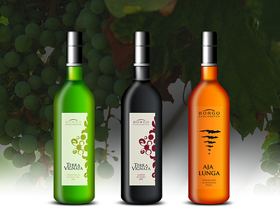 Borgo Paglianetto Wine bottle design graphic graphic design label packaging wine