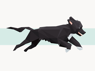 The Zipper Dog! dog happy illustration puppy running