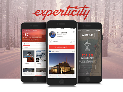 Experticity App case study