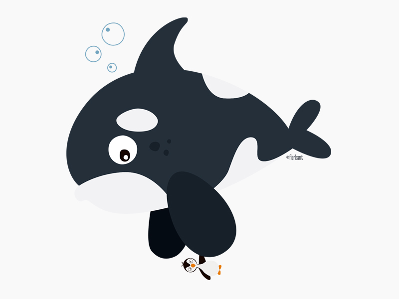 Billy the vegetarian orca. by Femke on Dribbble