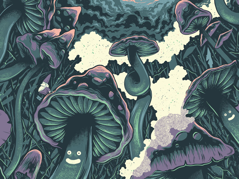 Ween Kansas City Gig Poster by Paul Kreizenbeck on Dribbble