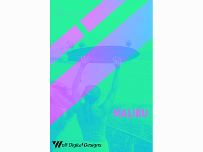 Duotone Art - Malibu art beach complementary colors design duo tone duo tones duotone duotones flat graphic graphic design image image editing image manipulation malibu photoshop poster poster art posters typography