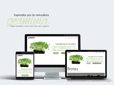 Germinia's Website redesign