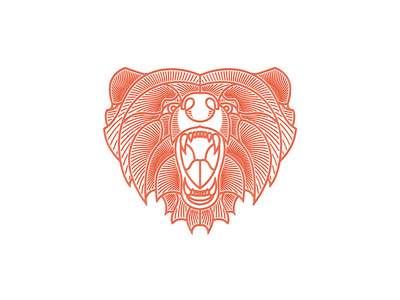 Bear Illustration grizzly bear illustration lines