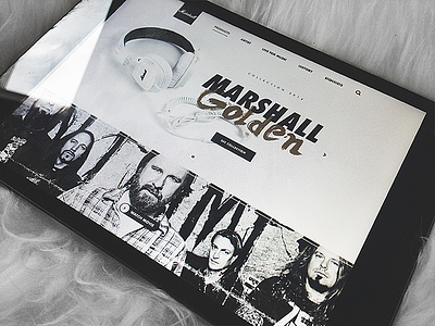 Marshalls designs, themes, templates and downloadable graphic elements on  Dribbble