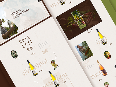 Wines layout responsive web wine