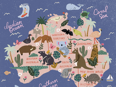 Australia Map illustrated map illustration