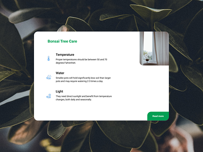 Daily UI 045 | Info card 045 bonsai daily 100 challenge daily ui dailyui design figma info card ui