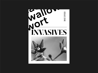 Invasive Species Zine