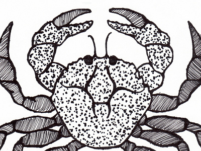 Pen & Ink Crab black white hand drawn illustration ink pen sketch