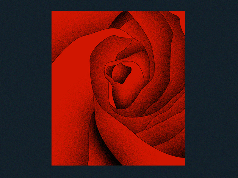 Cupid Hit Me With Precision By Scott Colson On Dribbble