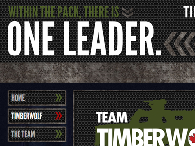 Team Timberwolf css animations military typekit website