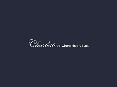 Charleston badges branding flat icons illustration illustrator lines logos vector