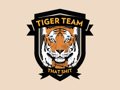 Tiger Team BГјcher Tiger Team BГјcher