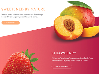 Project Teaser adobe colorful fruit gradient illustrator photoshop silhouette ui