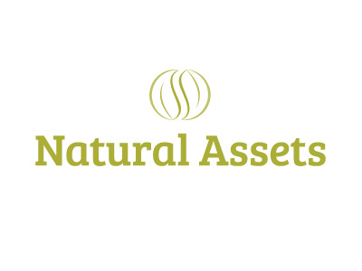Natural Assets Logo blue blue ion blueion bree bree serif green ion leaves logo natural natural assets nature resort vector