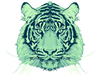 Tiger big cat illustration vector