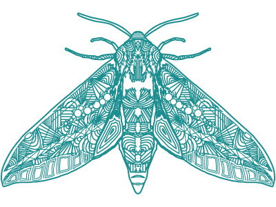 Cold Moth cold ice insect moth pattern sound vector