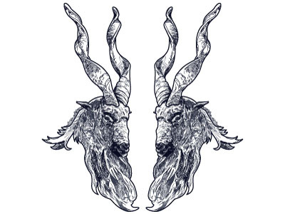 Markhors goat horn illustration markhor vector
