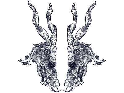 Markhors