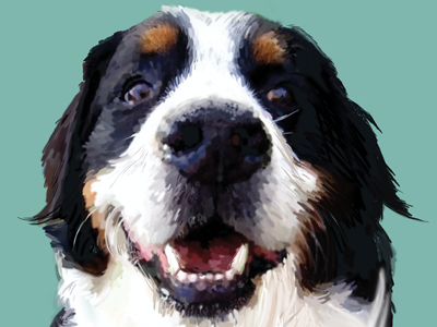 Angus animal digital digital art dog painting portrait