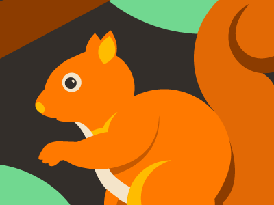 Squirrel illustration illustrator rodent vector