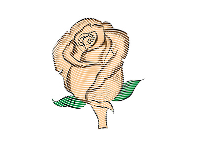 flower feminine illustration lineart lines logo vector