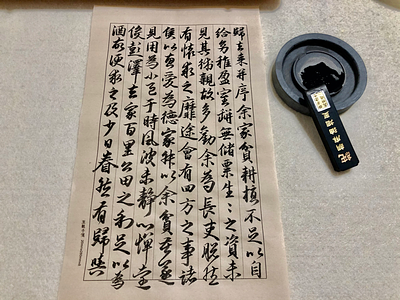 书法日课 书法 日课 chinese calligraphy