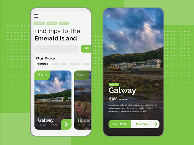 Booking Application: Tourism Concept design designs interaction design mobile app mobile ui mobile ui kit mvp product design tourism ui user research ux