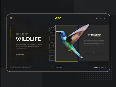 Website Design: Project Wildlife designs interaction design landing landing page product design ui user research ux webdesign website wildlife