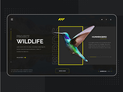 Website Design: Project Wildlife