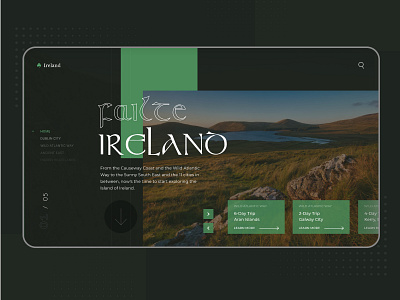 Website Design: Tourism Concept | Failte Ireland branding design designs interaction design mobile ui mvp product design prototype user research ux
